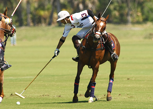 USPA Piaget Gold Cup photos 5