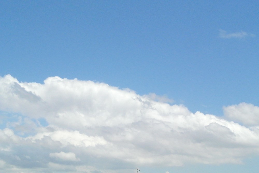 DSC 7547