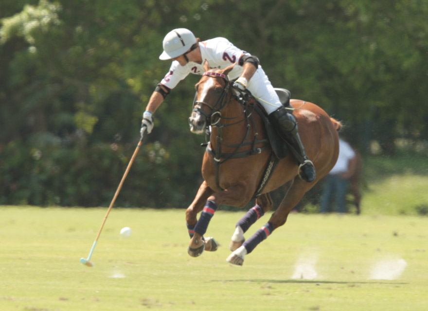 lechuza 1 polomagazine.jpg