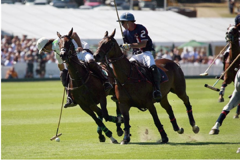 cowdray1