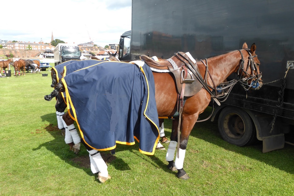 truckpony