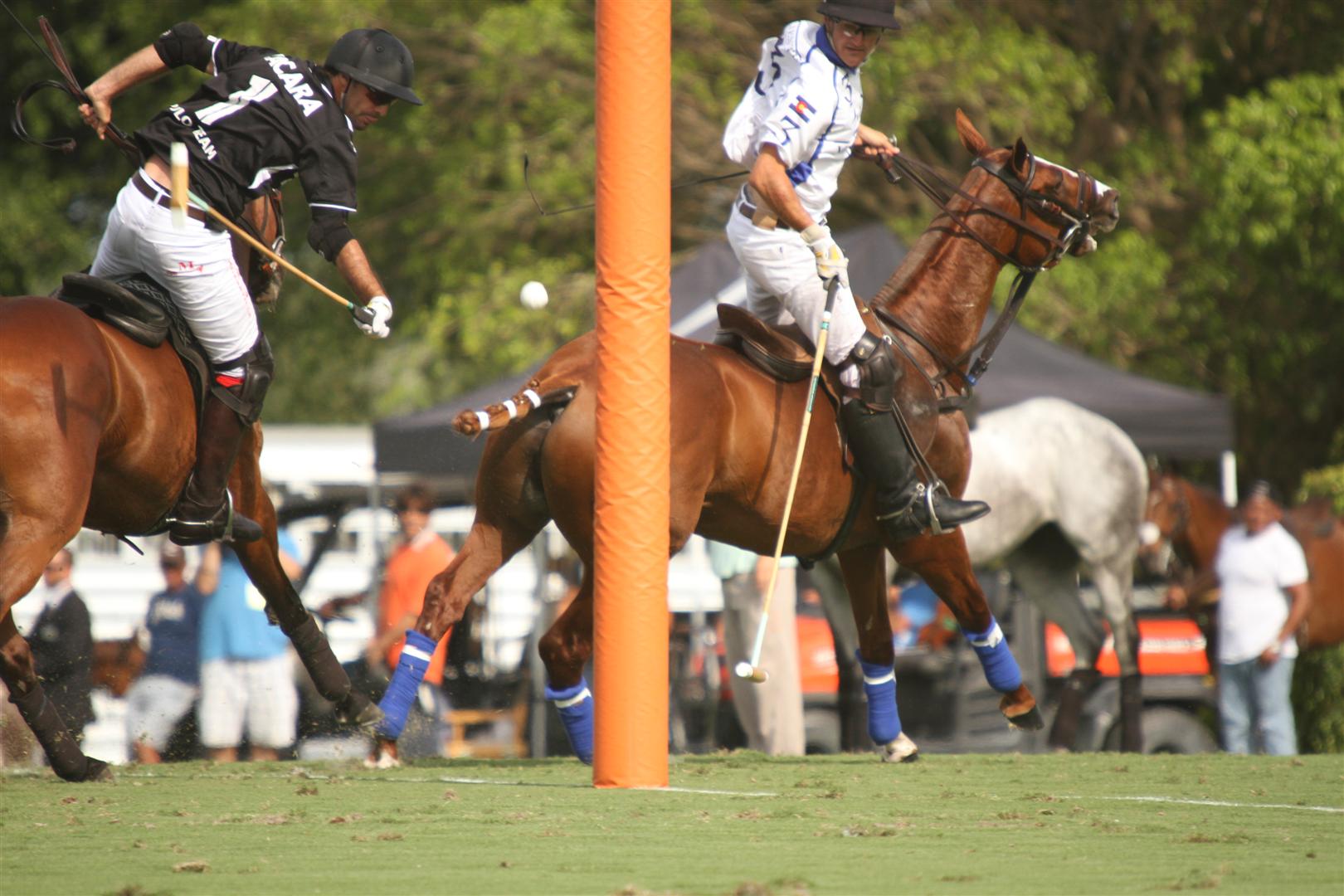 sheryel aschfort polo photography polo magazine us open 2013