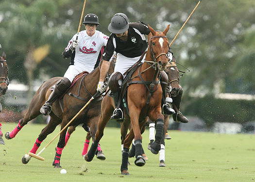 polo photos alex pacheco polo mag ipc polo club 2013 crab orchard audi polo teams 4