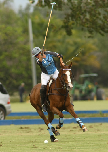 Photos-Santa Clara vs. Goose Creek