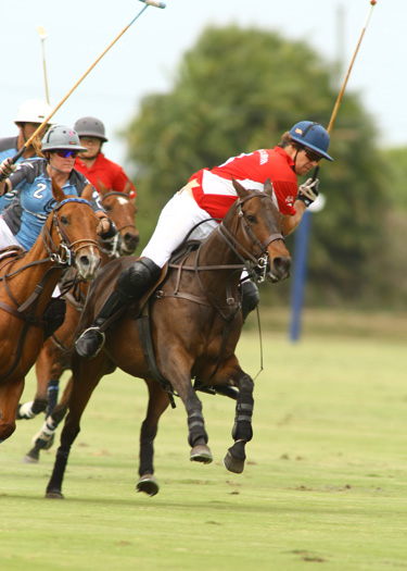 alexpachecopolo photos polo top polo tournament goose creeksanta clara poloteam 2
