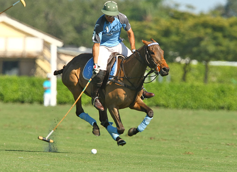 gossecreekpoloteamhawkhillpoloteampolomagazinepachecophotosgcpoloclub 10