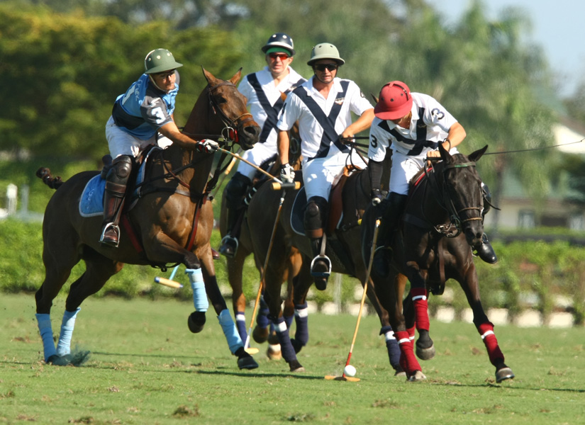 gossecreekpoloteamhawkhillpoloteampolomagazinepachecophotosgcpoloclub 6