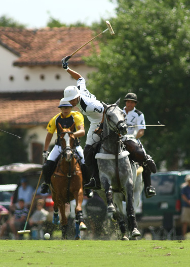 US Open photos-Zacara vs. Faraway