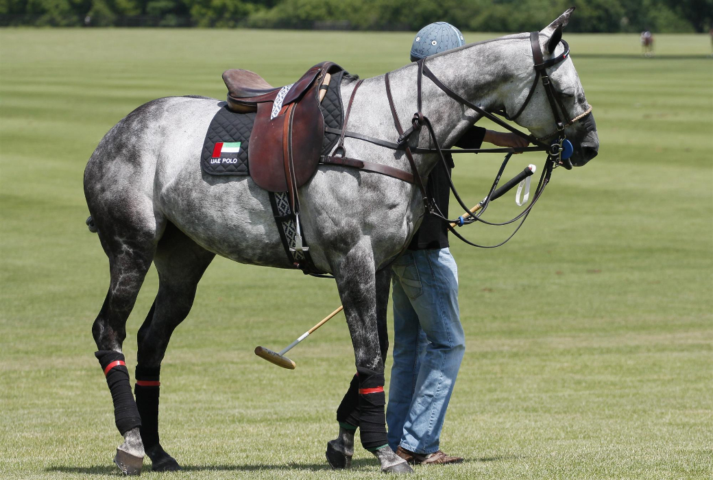 polo photos 2013 queens cup uk polo magazine celine 15