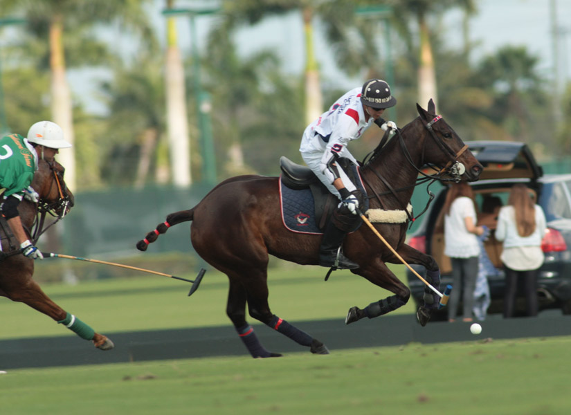 TonkawaLechuza CaracasYlvisaker Cuppolomagazine 6